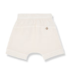 completo waffle delion