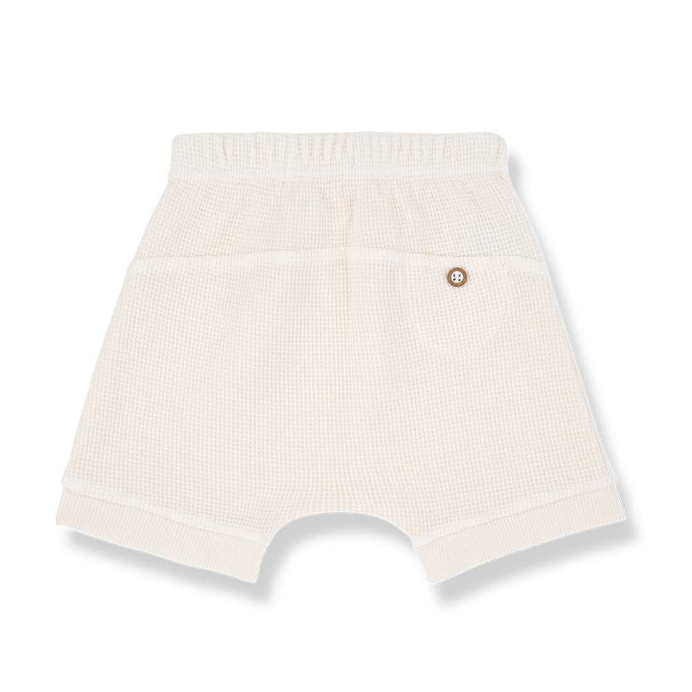 completo waffle delion