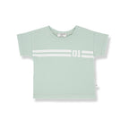 t-shirt pollens