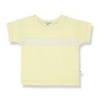 t-shirt pollens