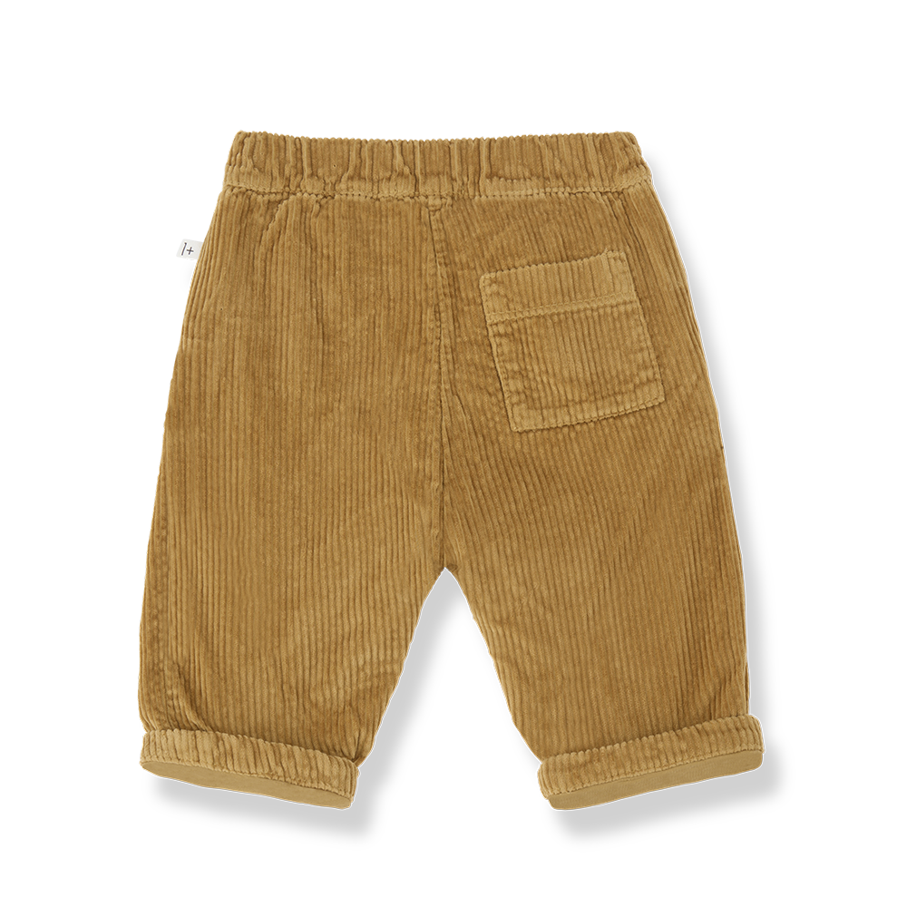 pantalone quebec velluto