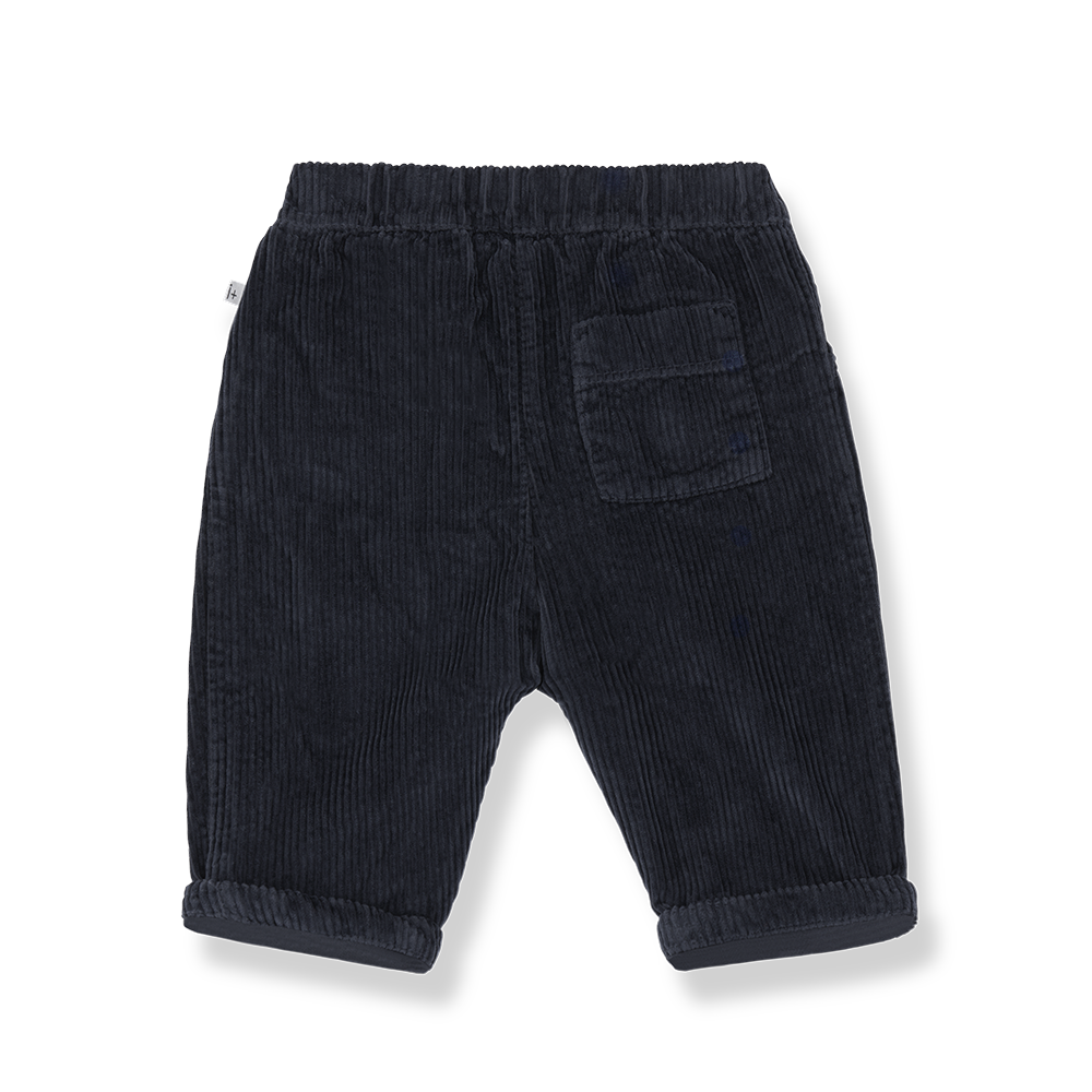 pantalone quebec velluto