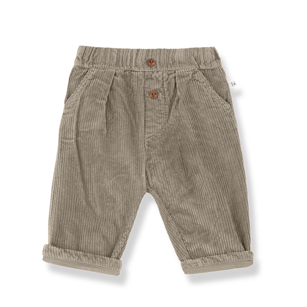 pantalone quebec velluto