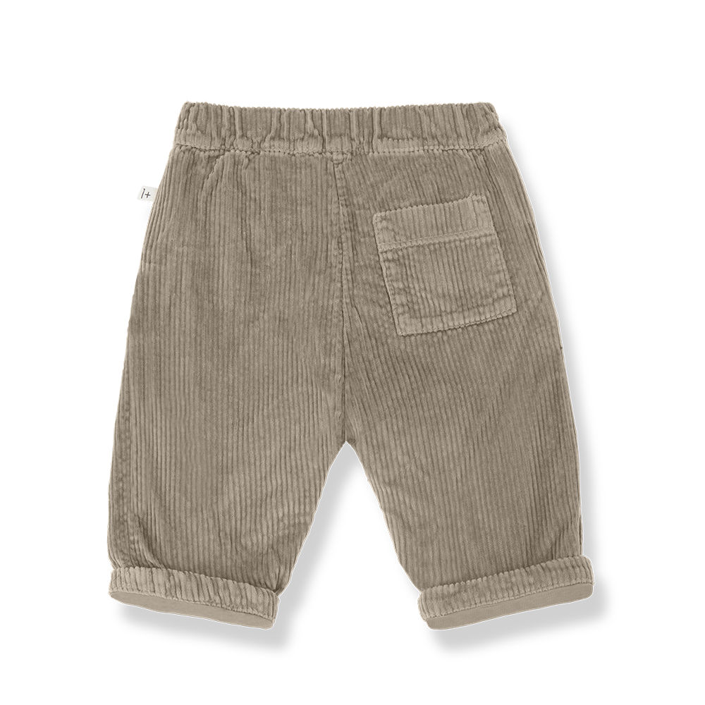 pantalone quebec velluto