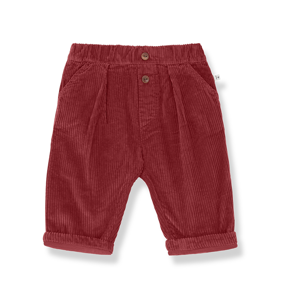 pantalone quebec velluto