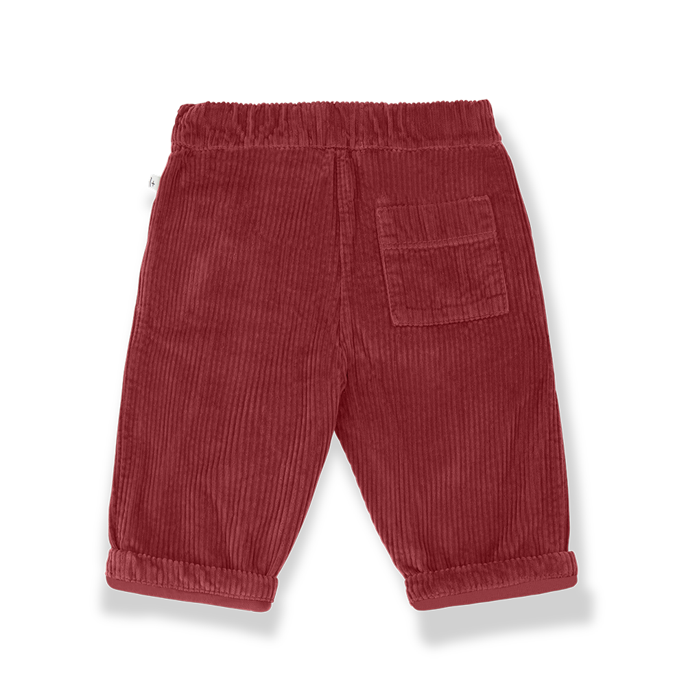 pantalone quebec velluto