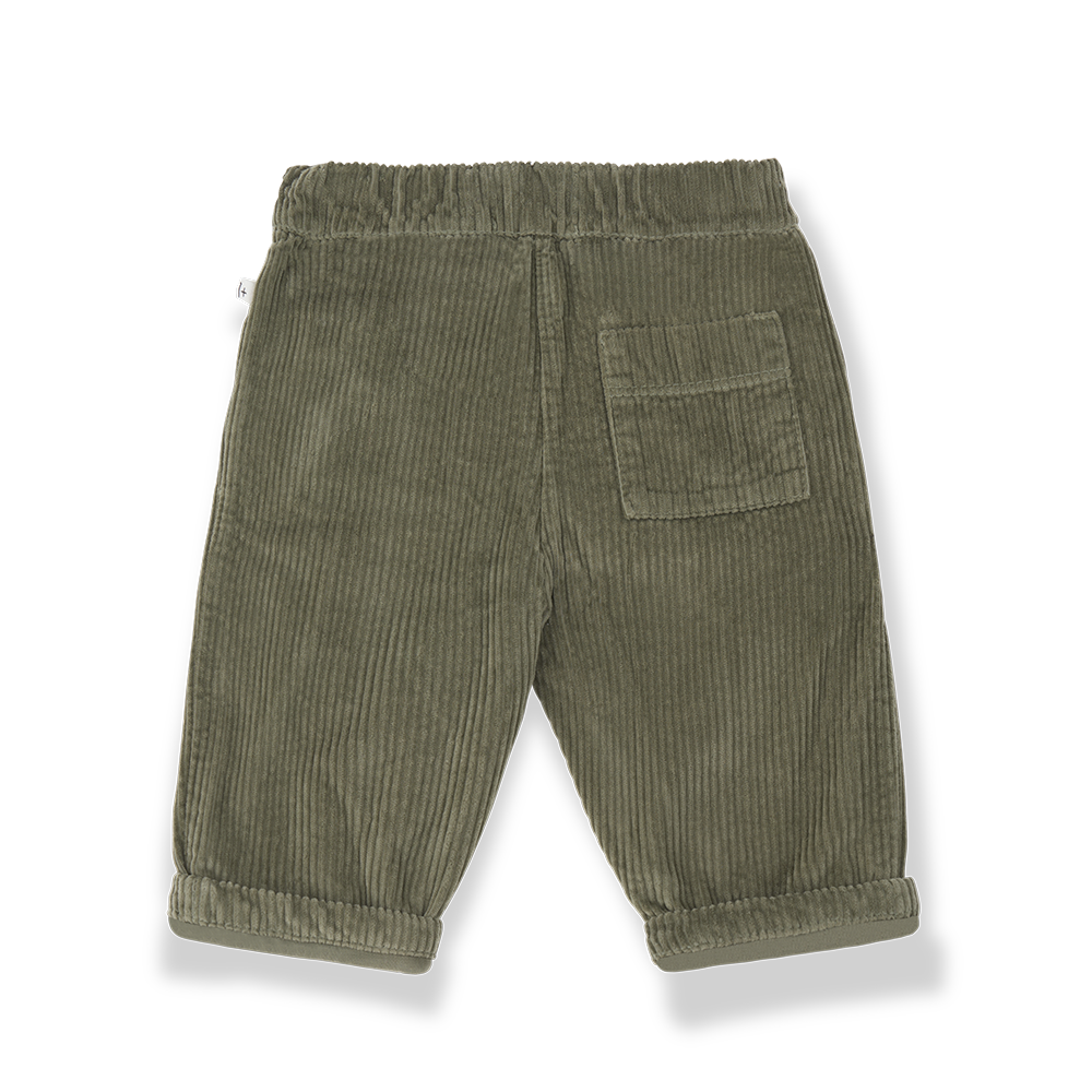 pantalone quebec velluto