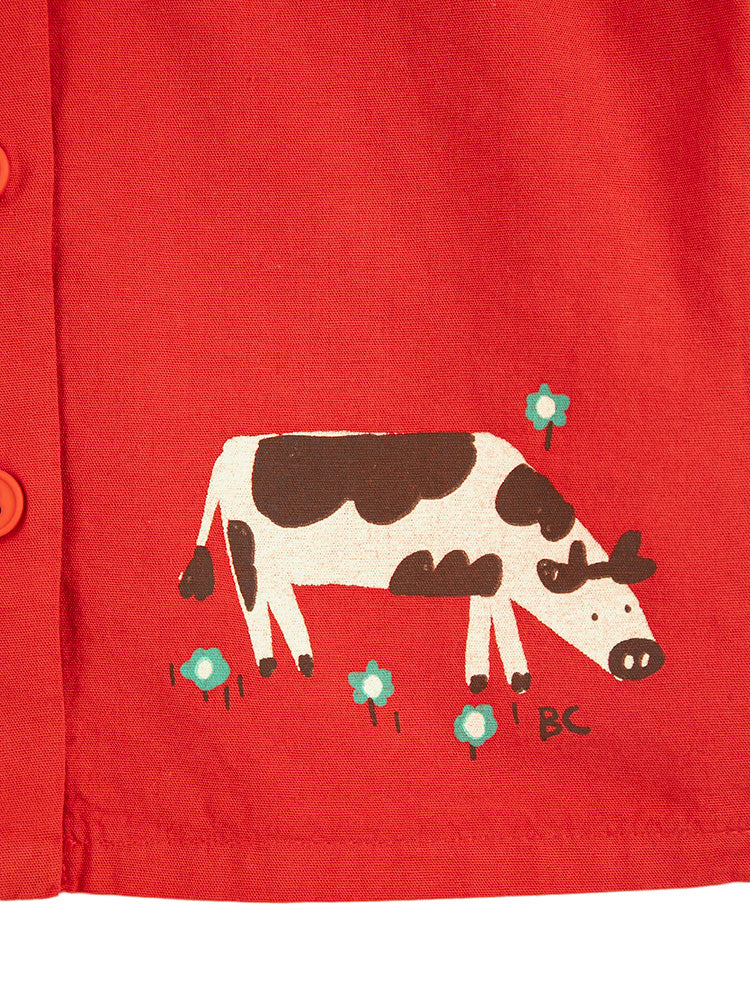 camicia farm adventure