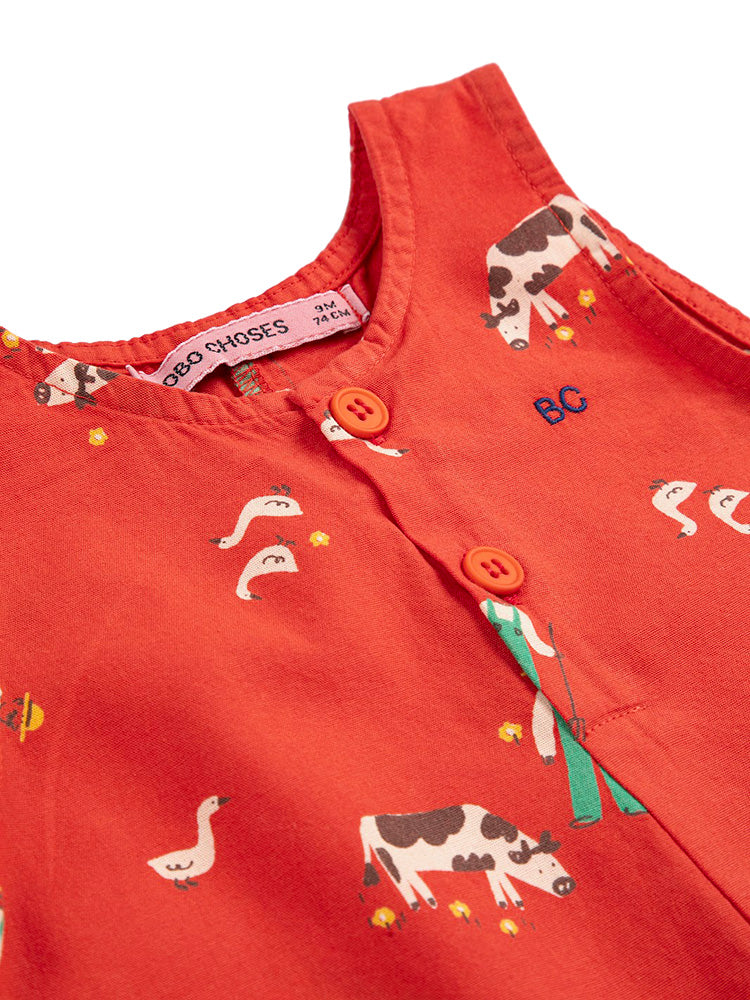 pagliaccetto farm adventure