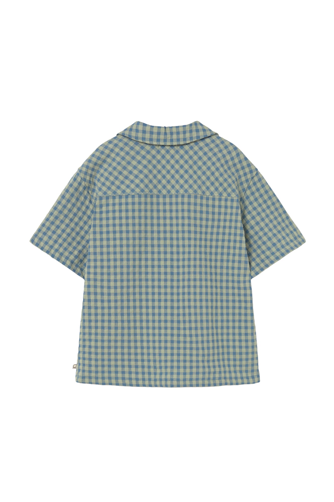 camicia gingham blue