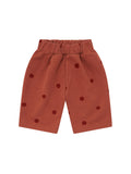 pantalone pois dritto