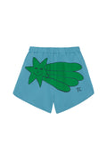 short stella cadente